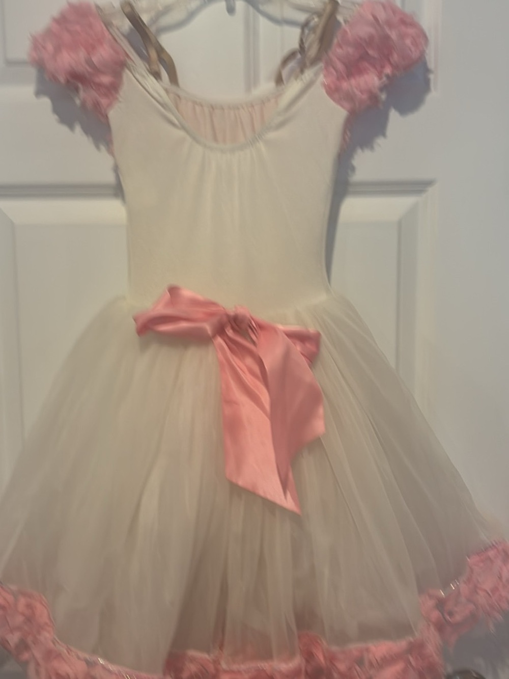 Gallery Ivory and Pink Tulle Ballet Costume Dress for Kids
